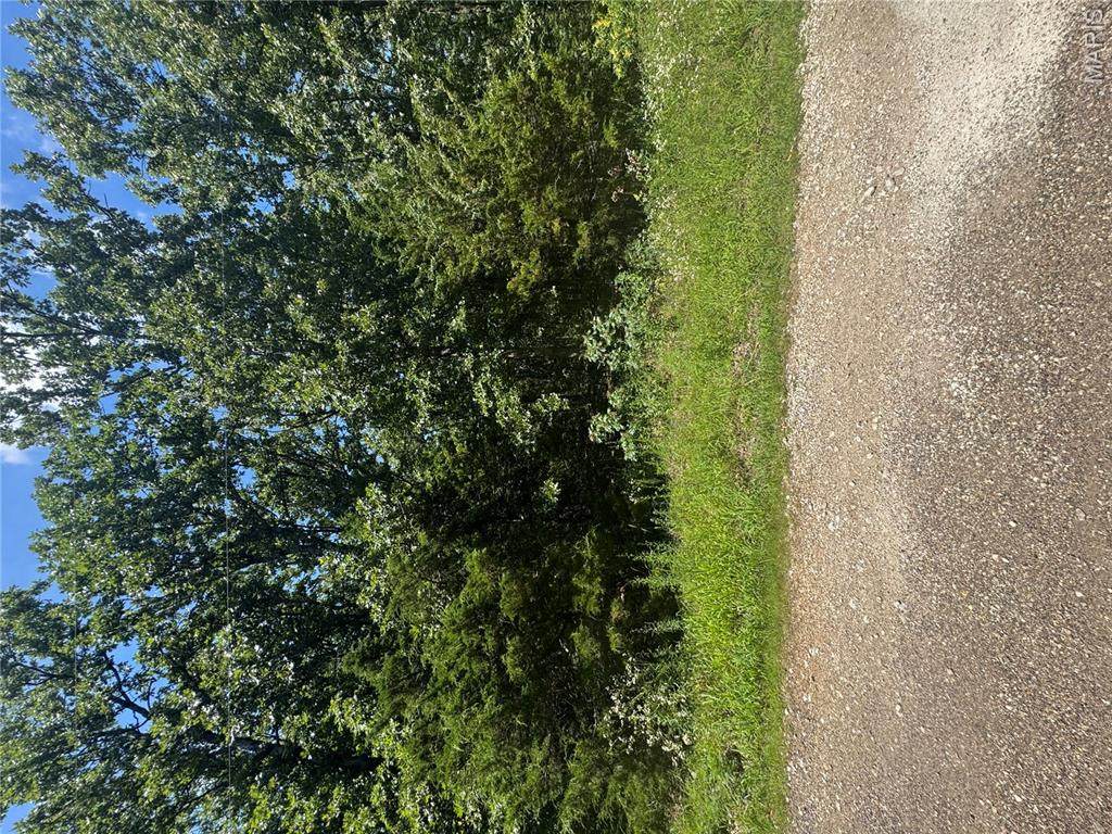 641 Briarwood Drive - Photo 1