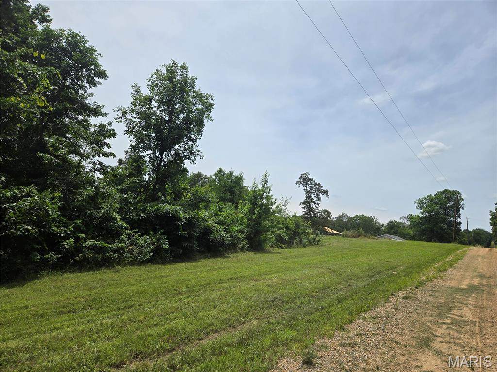 282 Ripley 142E-28A - Photo 1