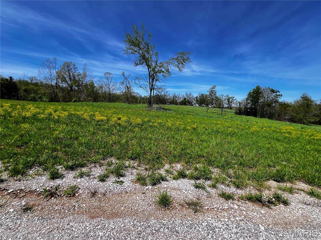 1009 Legacy Lane - Photo 1