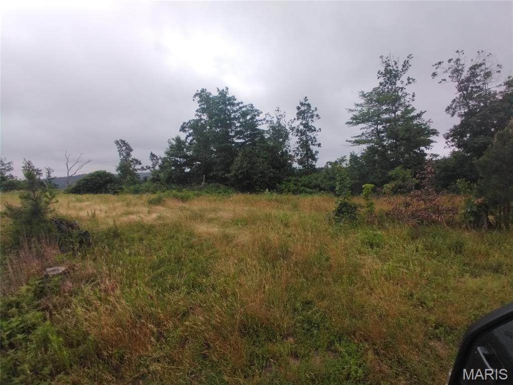 Tract 4 Off Highway O - Photo 1