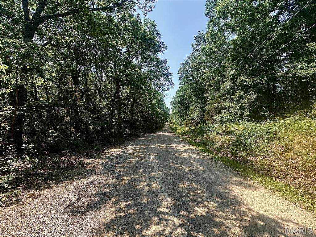 0 Estates Lane - Photo 1