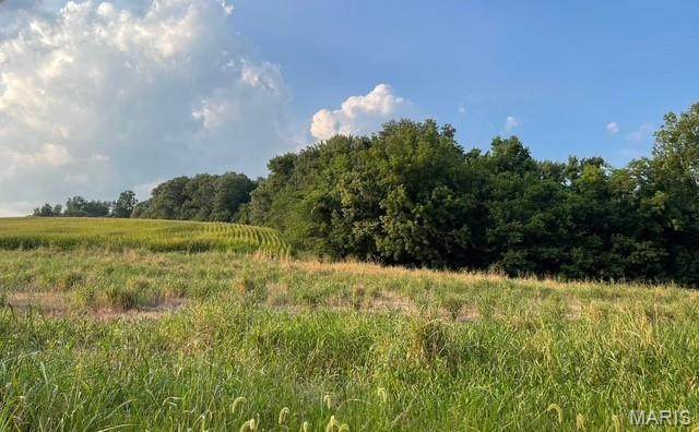 1810 County Road 228 - Photo 1