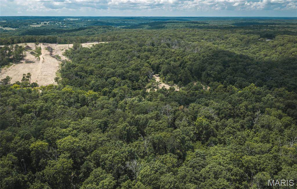 TBD Geronimo Springs Road-Tract 4 - Photo 1