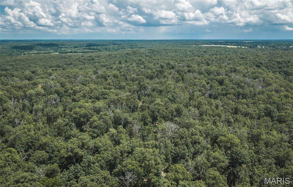 TBD Geronimo Springs Road-Tract 5 - Photo 1