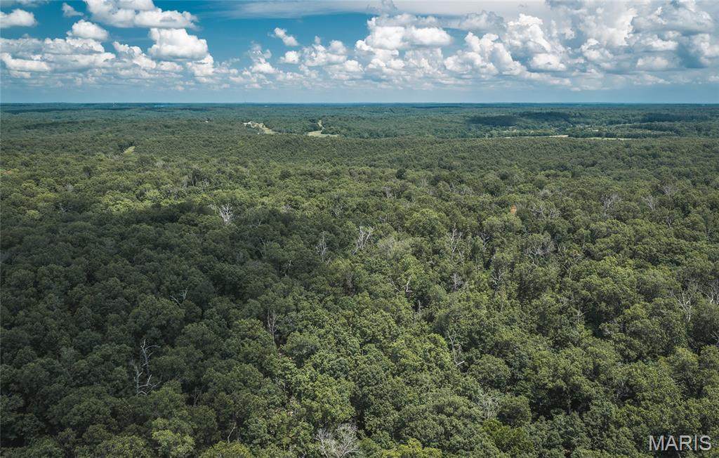 TBD Geronimo Springs Road-Tract 6 - Photo 1