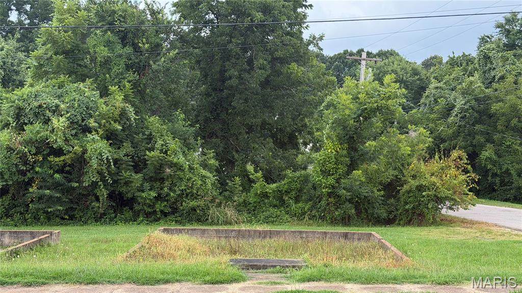 00 S Side Park Ave - Photo 1