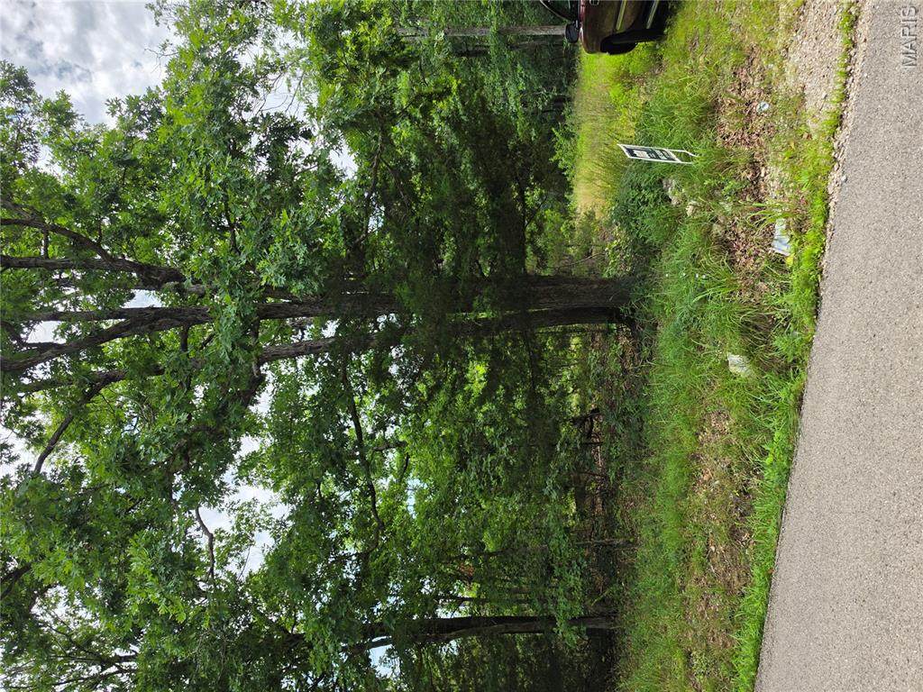 23675 Grandview Road - Photo 1