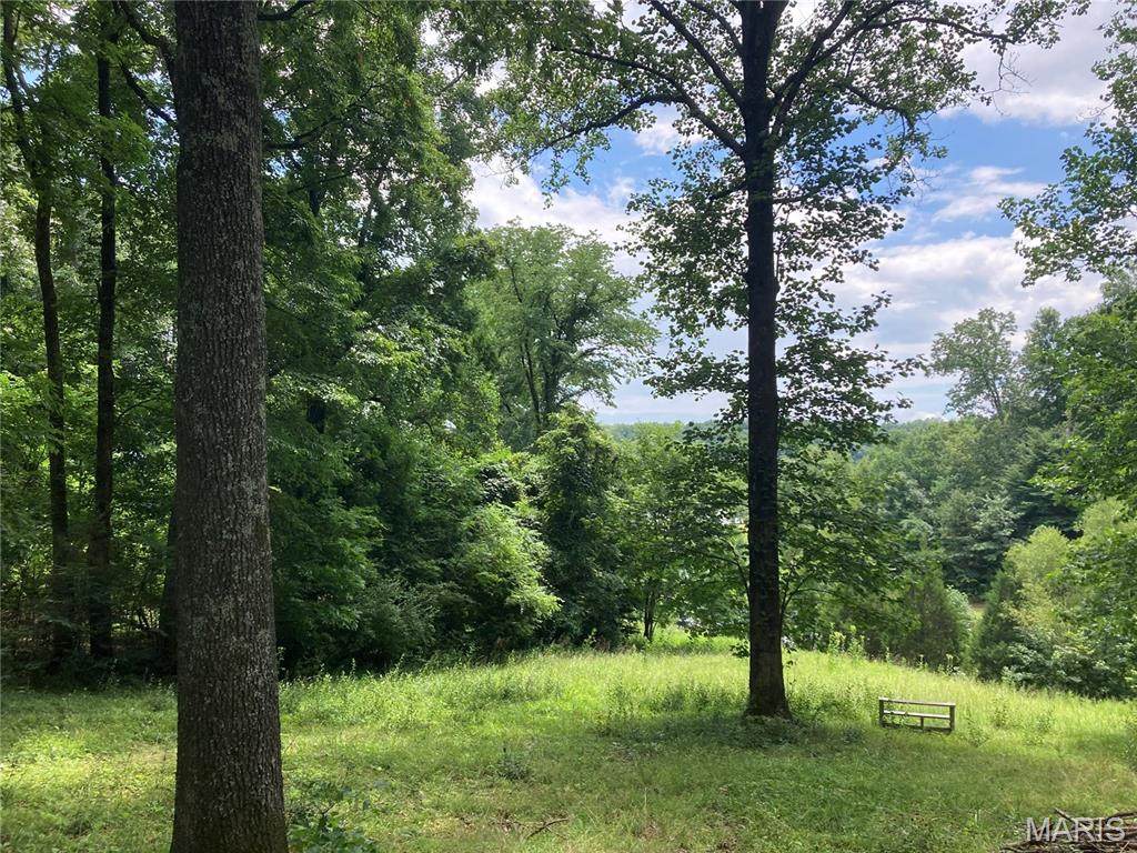 0 Scenic View Lane - Photo 1