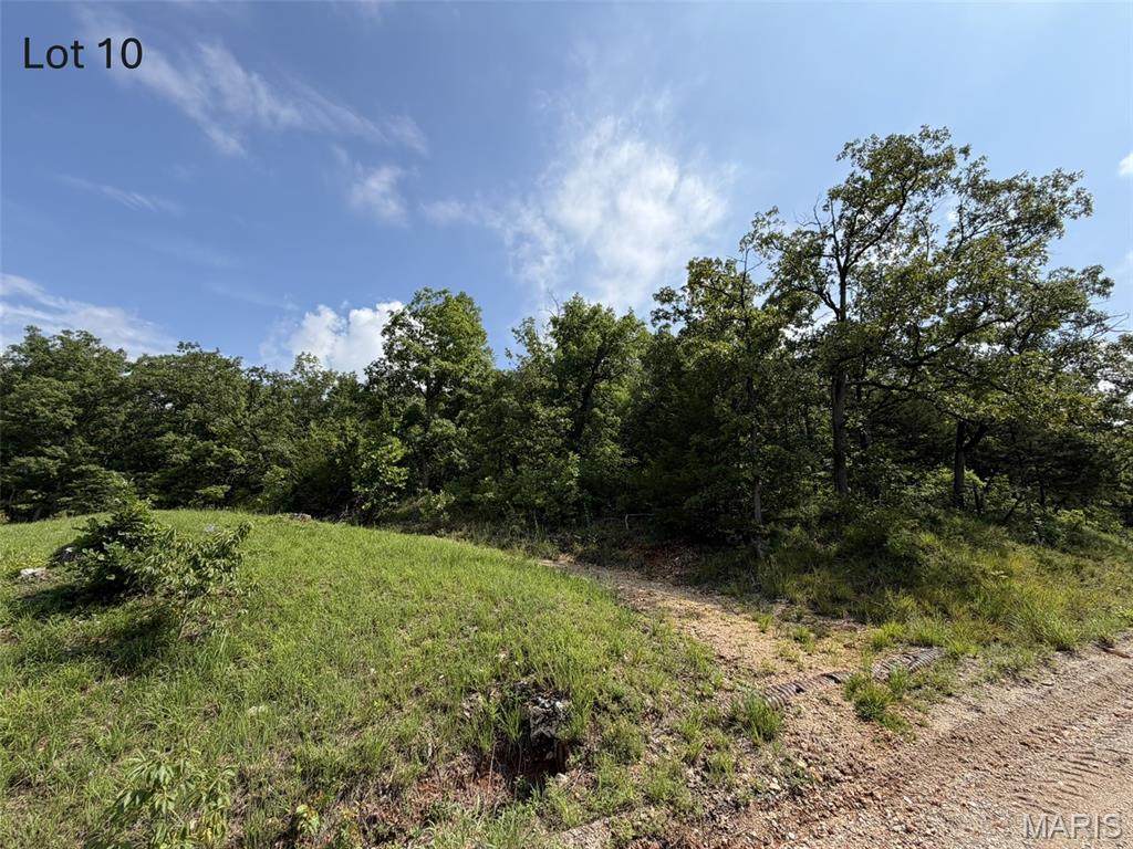Lots 10 & 11 Bass Road - Photo 1