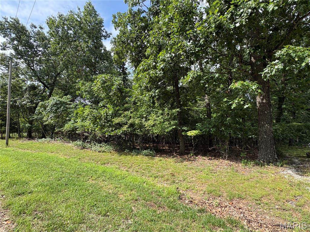 6025 Lake Point Drive - Photo 1