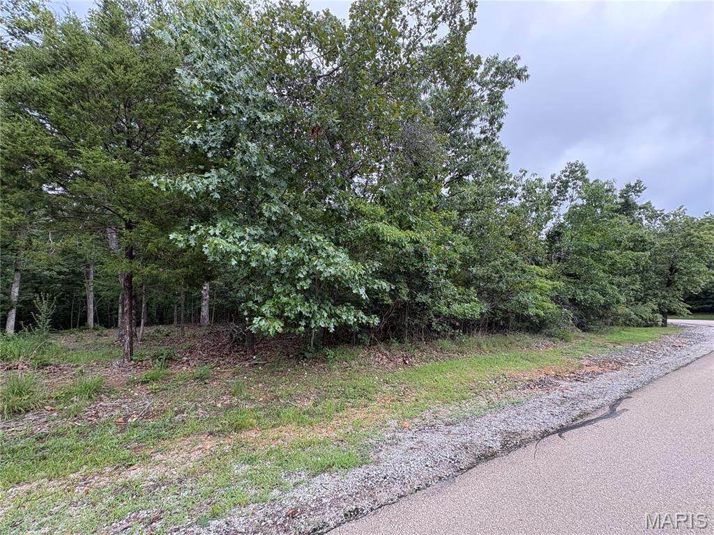 5029 Port Perry Drive - Photo 1