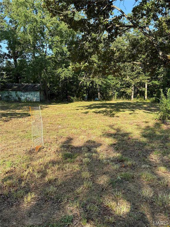 16653 Wayne Highway D - Photo 1