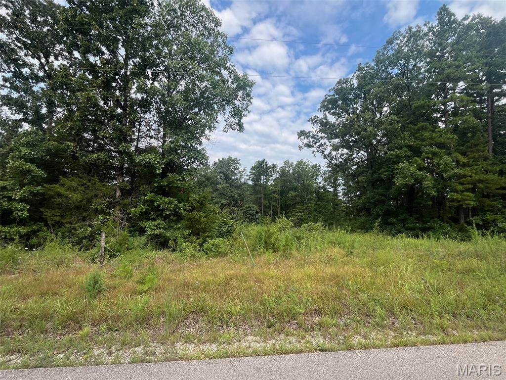 0 Grassy Hollow Road - Photo 1