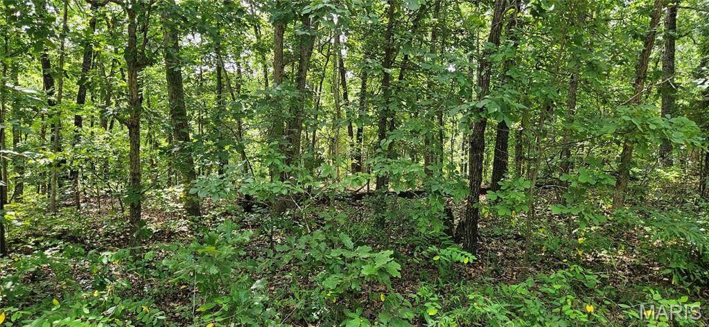 0 County Road 4050 - Photo 1