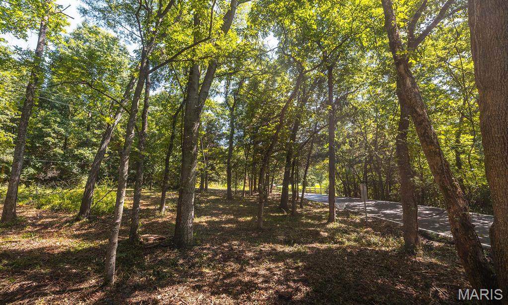 3107 Bouquet Road - Photo 1
