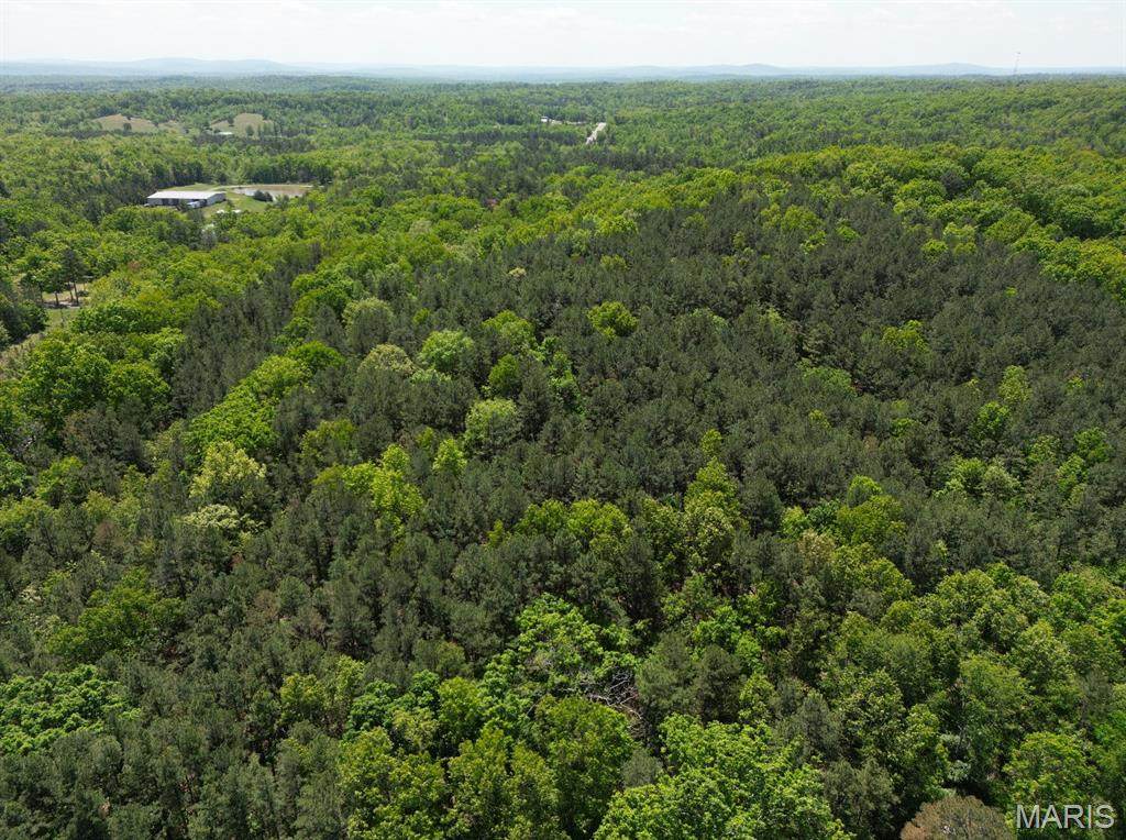 12488 State Highway 21 - Photo 1