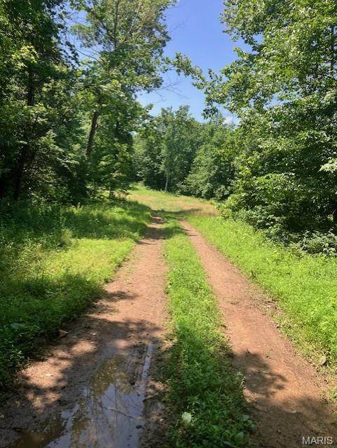 250 Madison Cr 410 - Photo 1