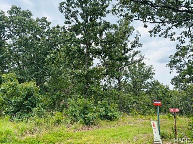 lot 31 W Hickory Ridge Road - Photo 1