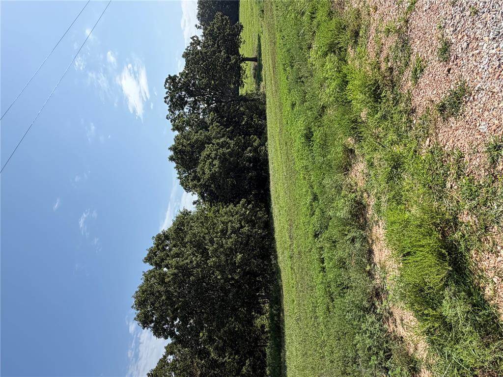 Tract 2 Ramsey Drive - Photo 1