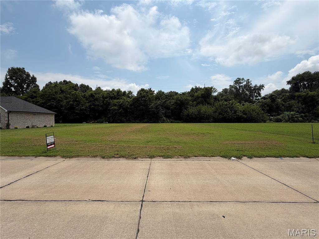 1309 Saint Francis Lane - Photo 1