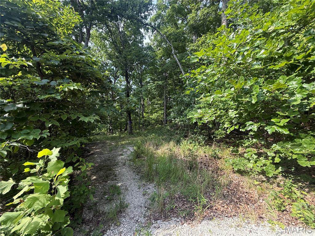 E Swaller Road - Photo 1