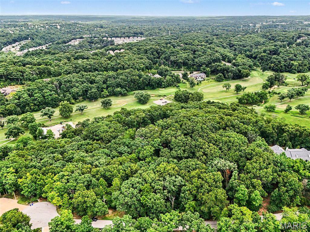 1524 Shalimar Ridge Lane - Photo 1
