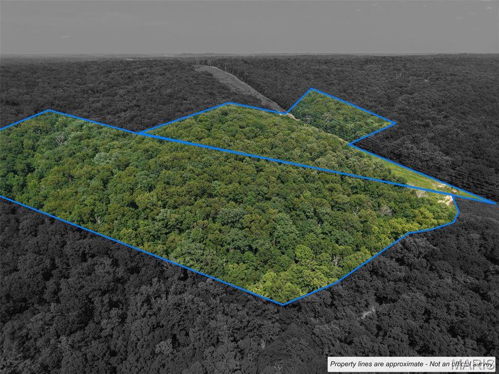 41 Acres Whittaker Road - Photo 1