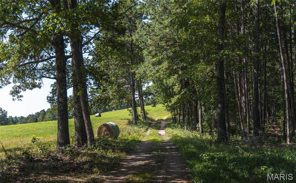 Tract 4 Private Drive 2336 - Photo 1