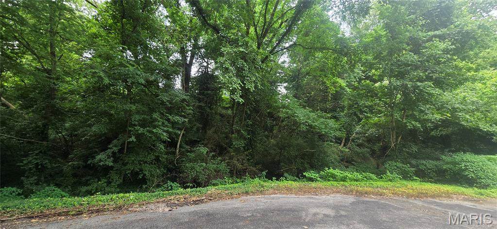 0 Birch Drive - Photo 1