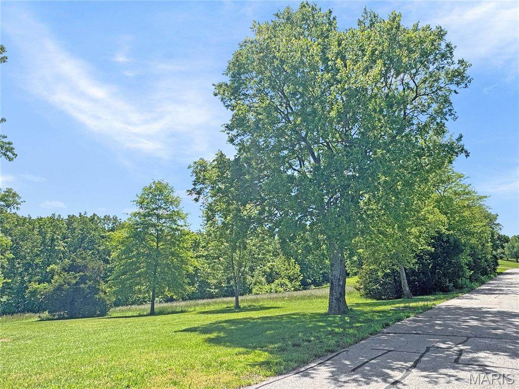 Lot 2 Hilltop Drive - Photo 1