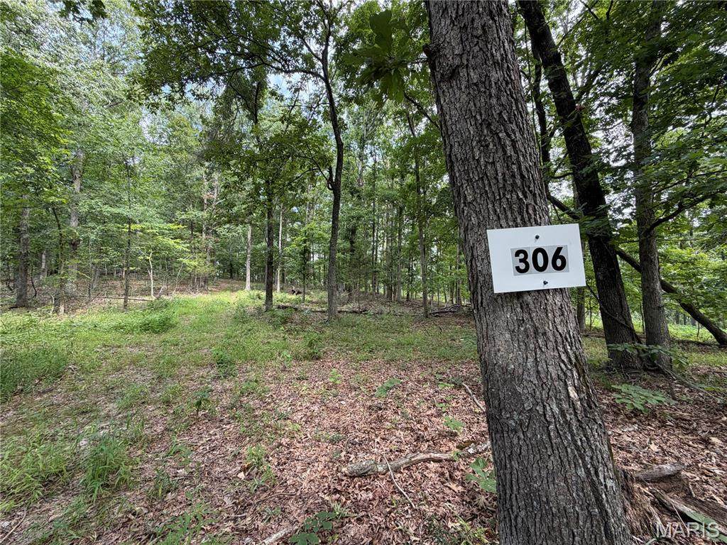 #306 Madison 410 - Photo 1