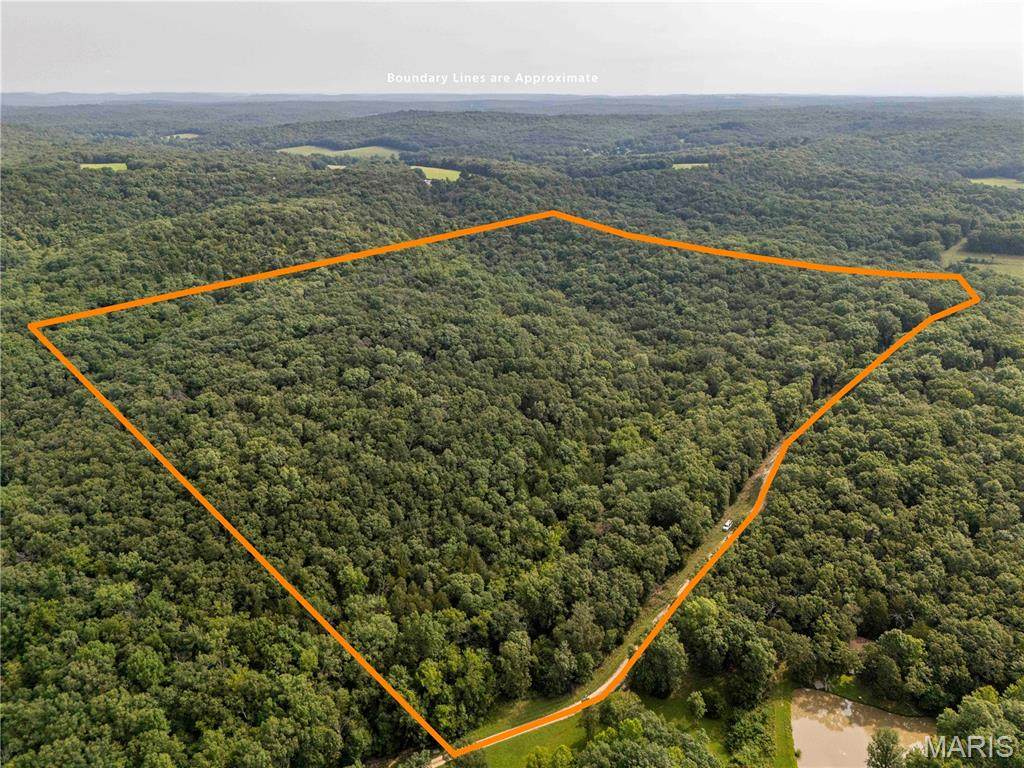 00 Walz Road - Photo 1