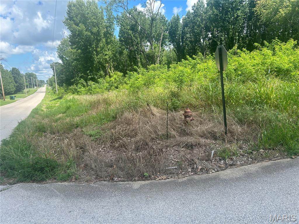 0 Tamarak Lane - Photo 1