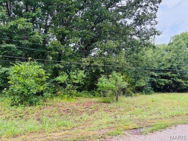 339 Oak Road - Photo 1