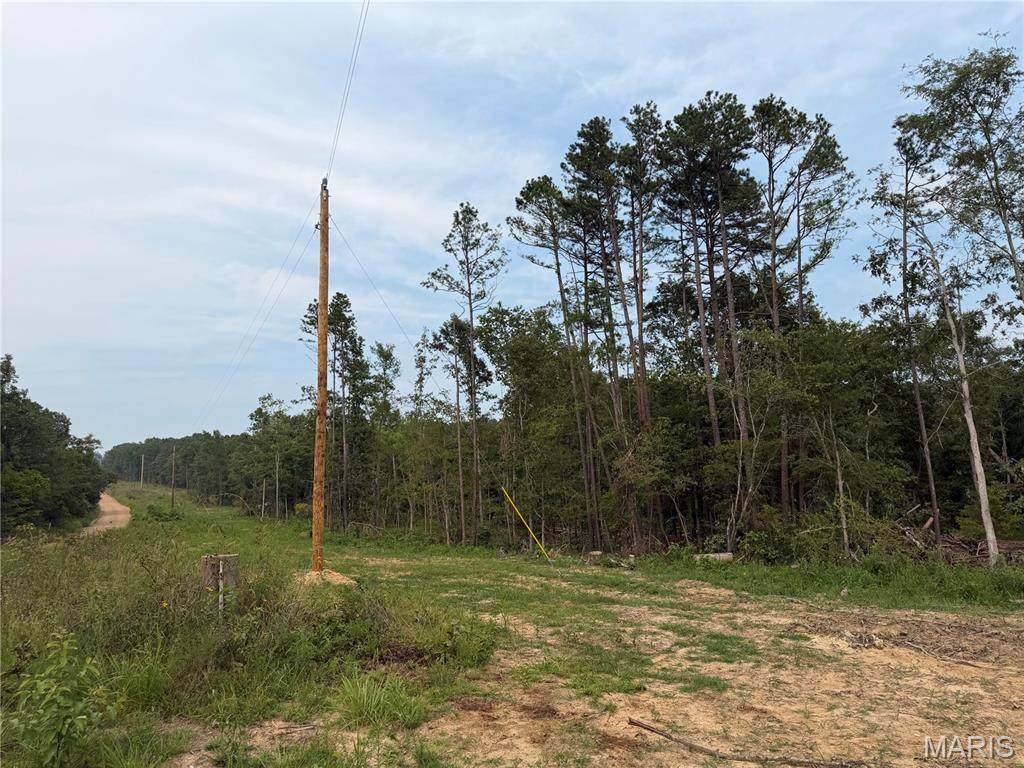 Tract 5 Bcr 702 - Photo 1