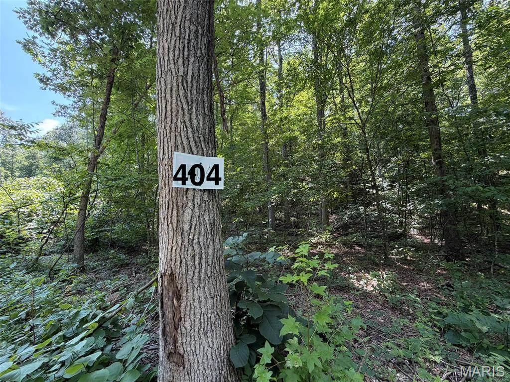#404 Madison 410 - Photo 1