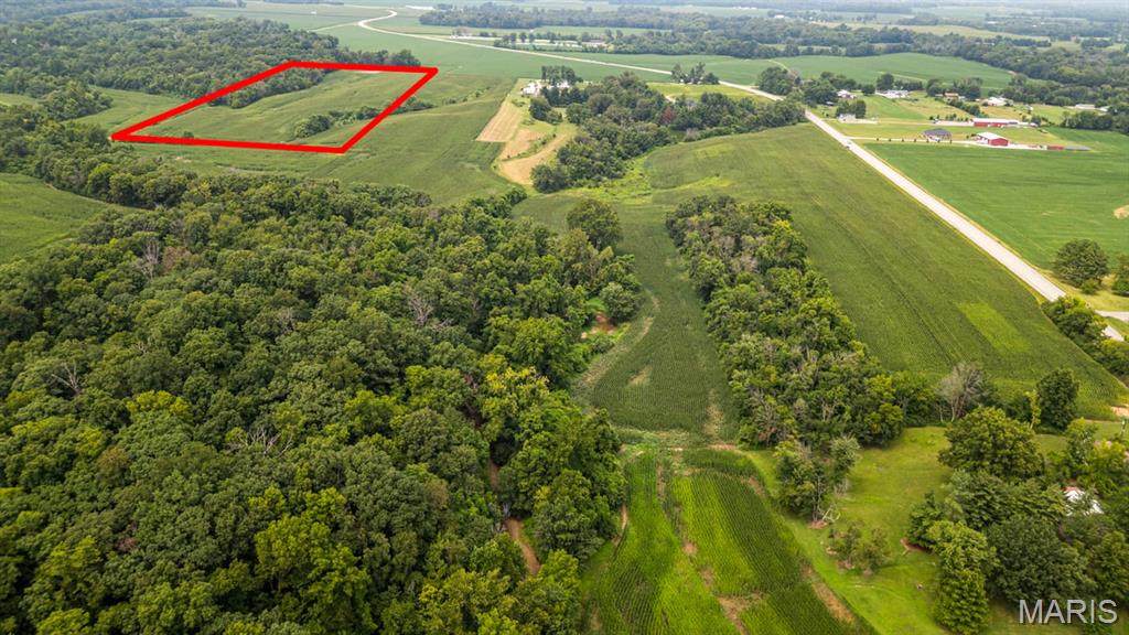 4145 Levy Lane - Photo 1