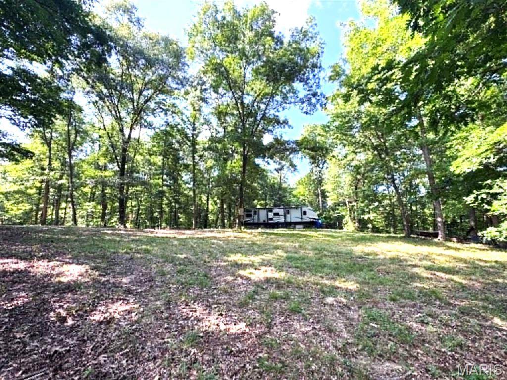 43121 Deerview Trail - Photo 1