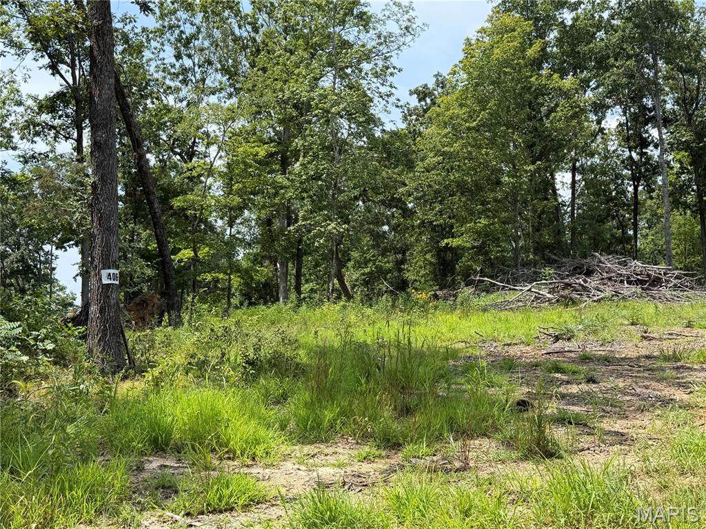 #406 Madison 410 - Photo 1
