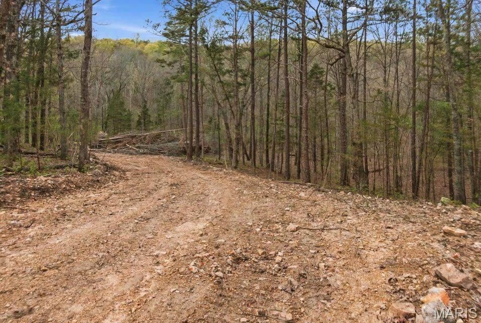 Tract 5 Highway 32 - Photo 1