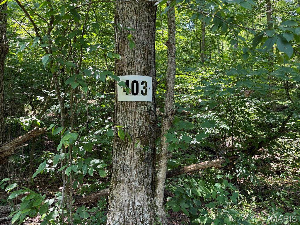 #403 Madison 410 - Photo 1