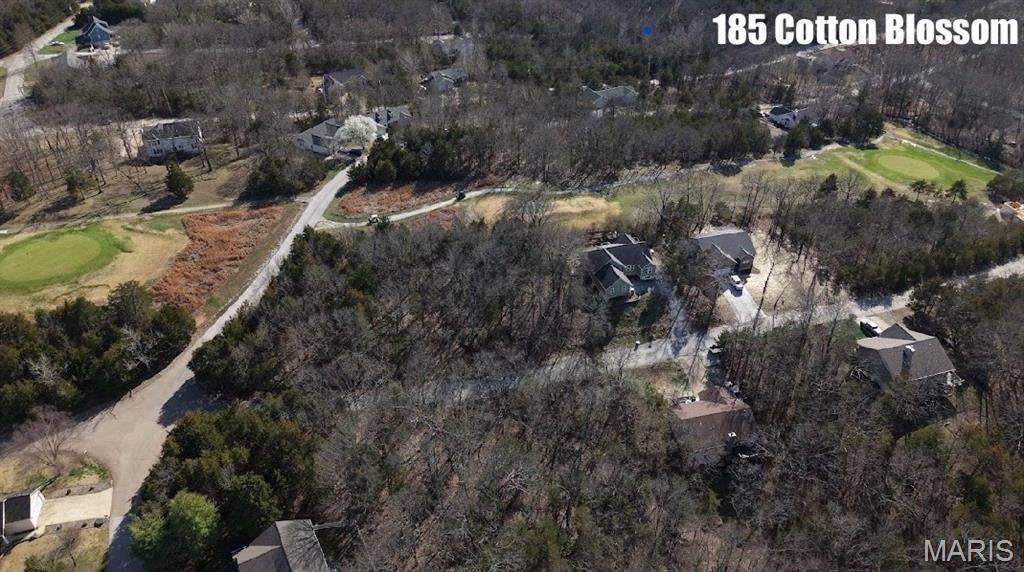 Lot 13// 185 Cotton Blossom Drive - Photo 1
