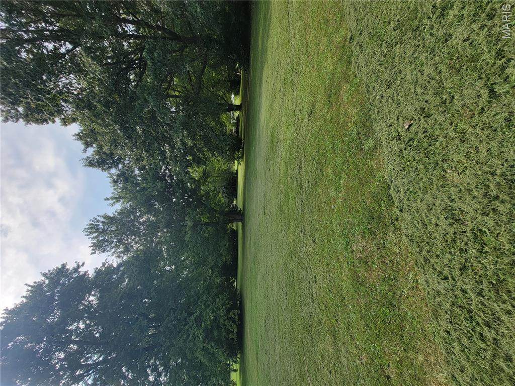 TBD Walnut Street - Photo 1