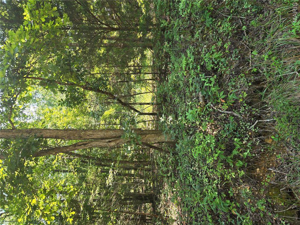 0001 County Road 421 - Photo 1