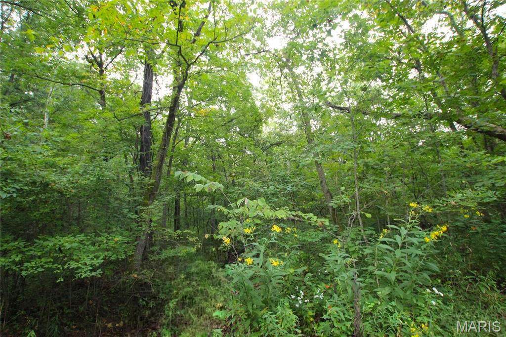 4.14 +/- Acres Pendleton Lost Creek Road - Photo 1