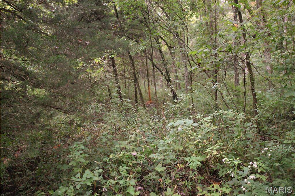 4.65 +/- Acres Pendleton Lost Creek Road - Photo 1