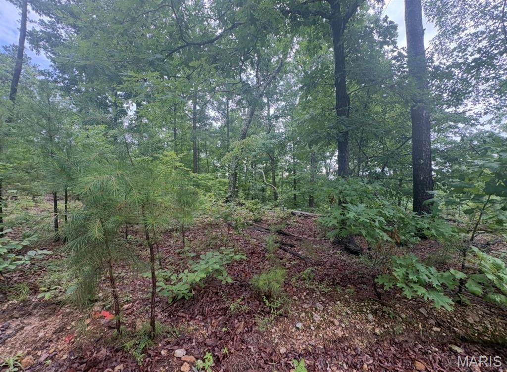 0 County Road 447 - Photo 1