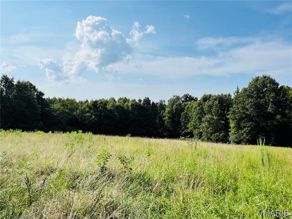 0 County Road 646 - Photo 1