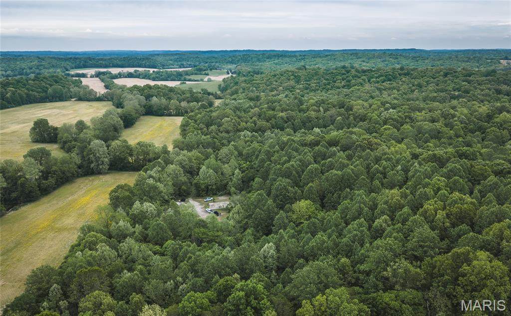 000 Yellow Springs Road - Photo 1