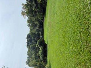 4984 Ambs Road - Photo 1